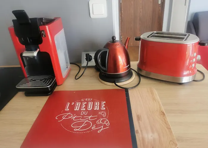 Centre-cathedrale-cordeliers Avec Garage * ריימס